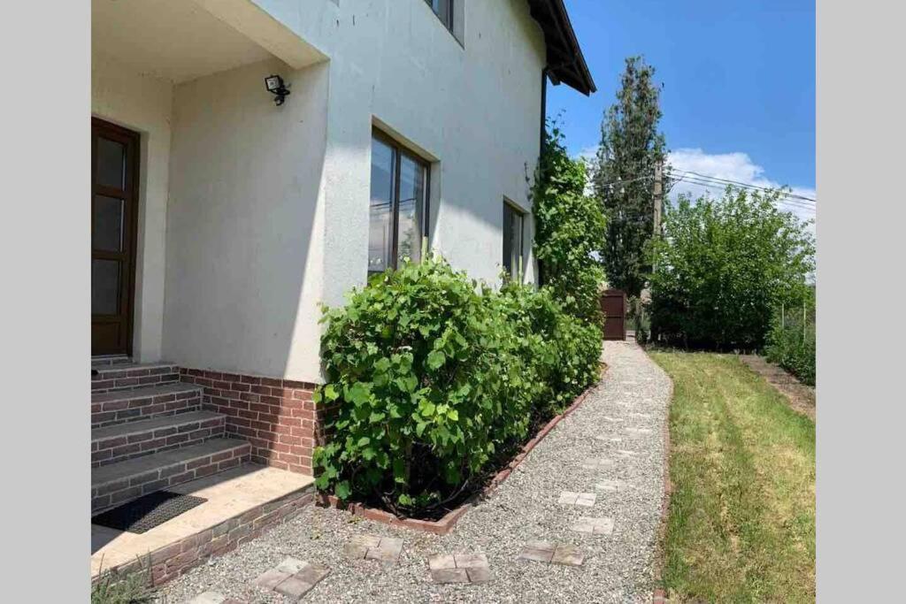 Casa Andreea. Cheerful 4-Bedroom Villa Bod Exterior photo