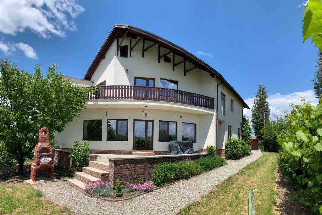 Casa Andreea. Cheerful 4-Bedroom Villa Bod Exterior photo